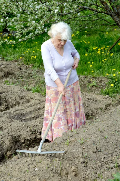 La vieille femme travaille dans un jardin fleuri — Photo