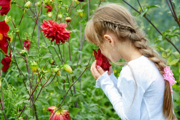 Девушка в саду держит цветок — стоковое фото