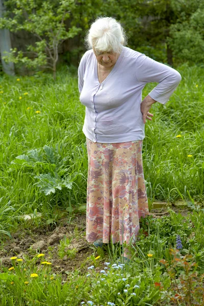 Stara kobieta wśród trawy w wiosenne popołudnie — Zdjęcie stockowe