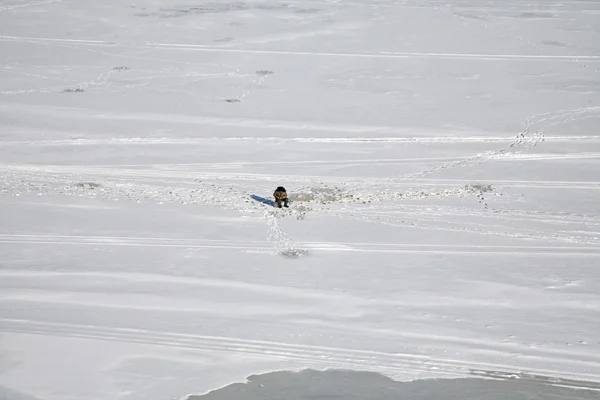 Рыбак зимой на замерзшей реке — стоковое фото