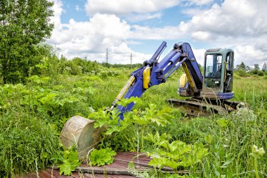 Caterpillar serpiştirmek arasında bir çim alandaki