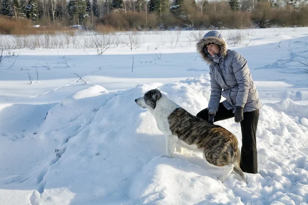 Mulher brinca com um cão na tarde de inverno — Fotografia de Stock