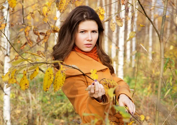 Dziewczyna wśród młodych brzóz w jesieni — Zdjęcie stockowe