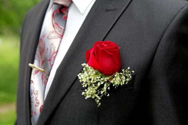 Rose in a buttonhole of the groom close up — Stock Photo, Image