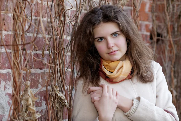 La ragazza tra alpinisti contro un muro di mattoni — Foto Stock