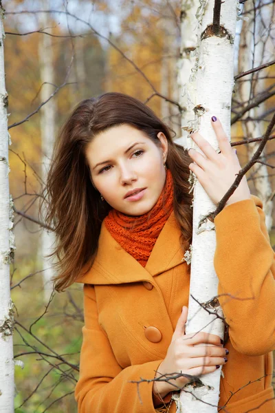 La muchacha entre los abedules jóvenes en otoño — Foto de Stock