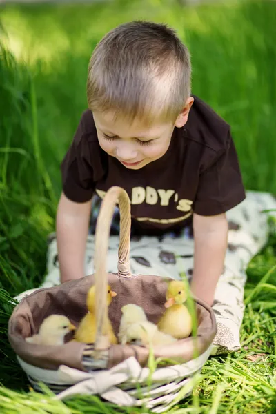Criança brincando com filhotes — Fotografia de Stock