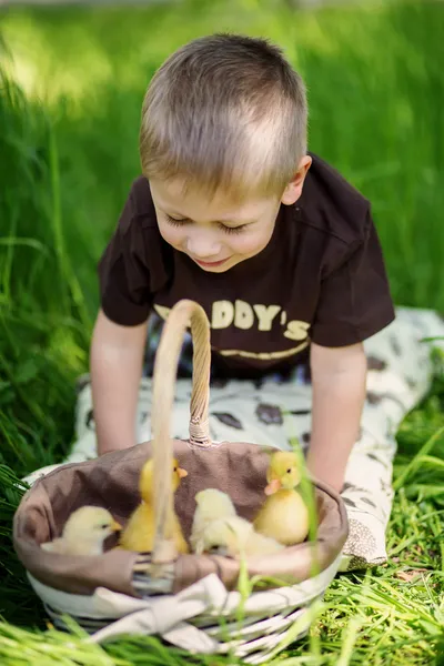 Kind spielt mit Küken Stockbild