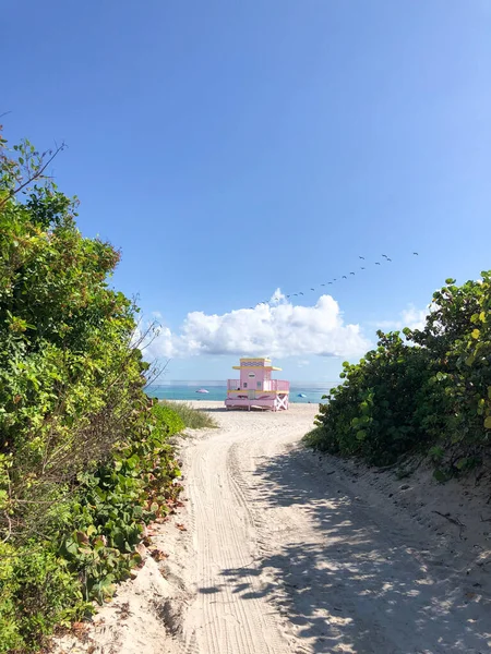 Día Soleado Miami Beach Miami Beach Florida Usa Amanecer Torre —  Fotos de Stock