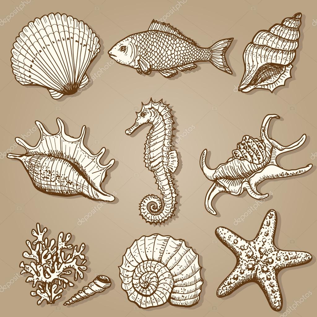 Sea collection. Original hand drawn illustration — Stock Vector ...