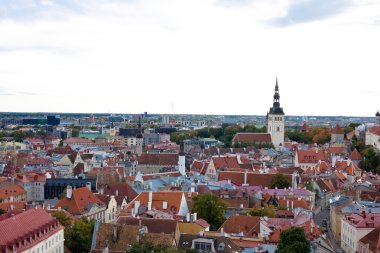 Tallin görünümü