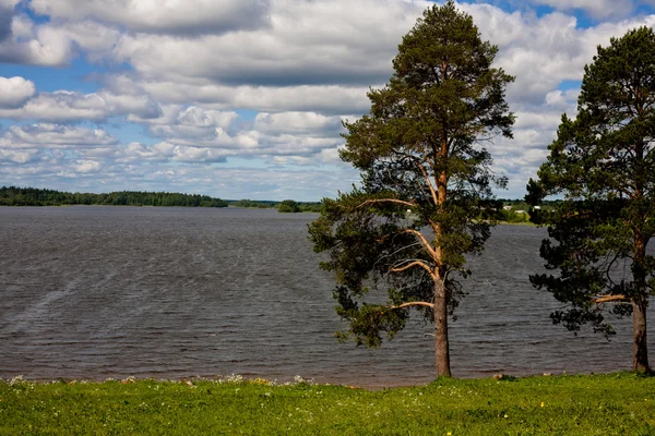 Lago y árboles —  Fotos de Stock