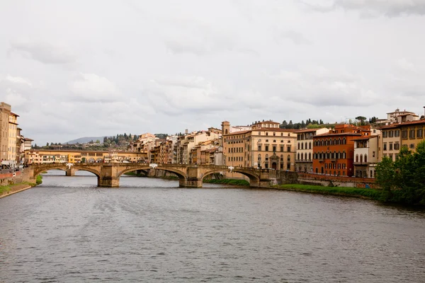 Arno. — Fotografia de Stock