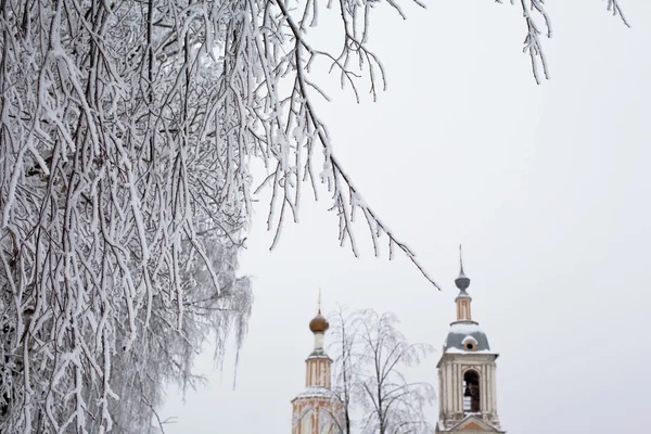 Bílý strom a žlutý kostel — Stock fotografie