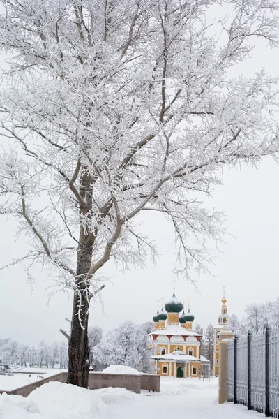 White trees and yellow church — Stock Photo, Image