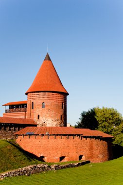 Kaunas Kalesi