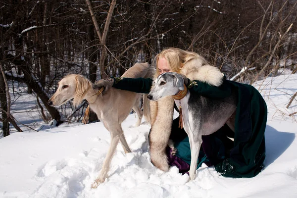 Blondine und Salukies — Stockfoto