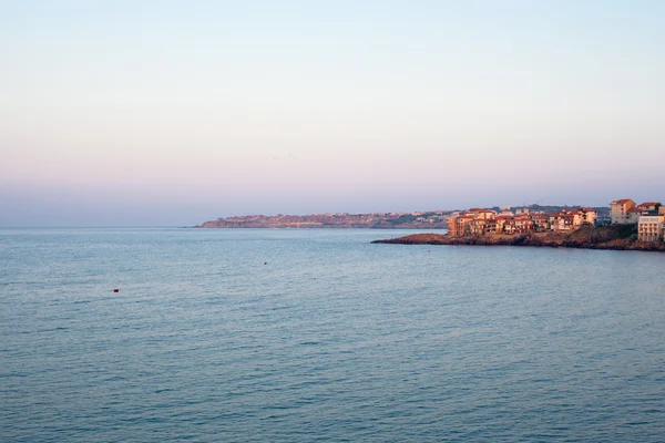 Passera di mare — Foto Stock