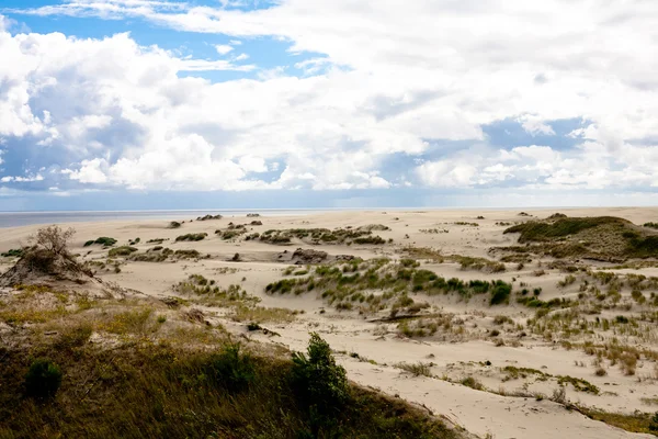 Sand dunes — Stock Photo, Image