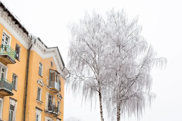 Witte bomen en geel gebouw — Stockfoto