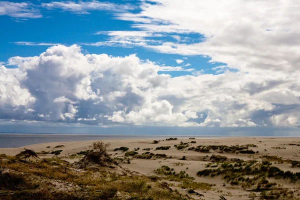 Sanddünen — Stockfoto