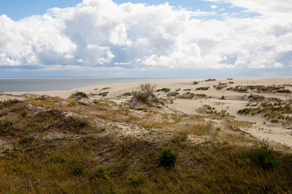 Sanddünen — Stockfoto