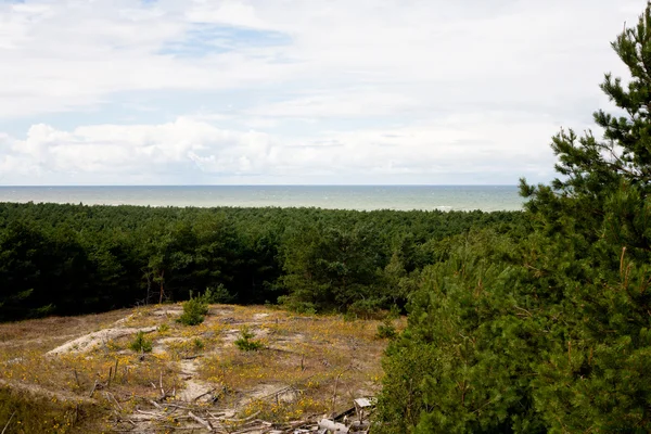 Sand dunes — Stock Photo, Image