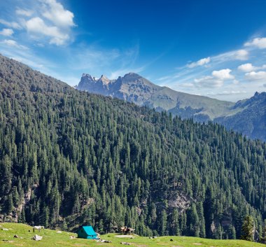 dağda kamp çadırı