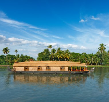 Teknede önemsizden kerala, Hindistan