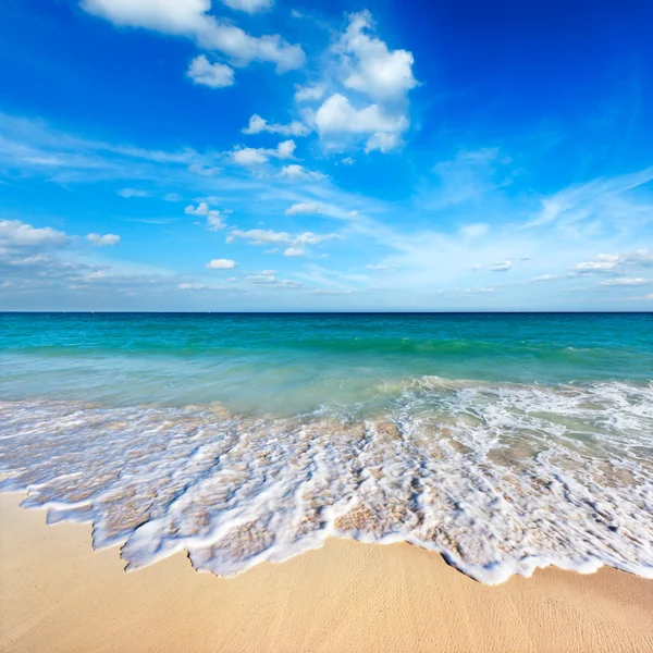 Красивый пляж и море — стоковое фото