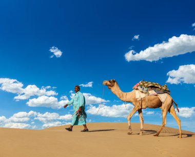 Develer Rajasthan, Hindistan ile cameleer (deve sürücüsü)