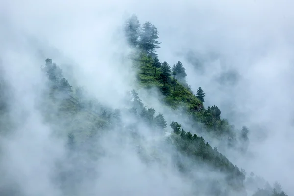Bomen in wolken — Stockfoto