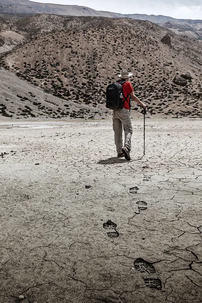 Mountaineer trekker walking in Himalayas — Stock Photo, Image