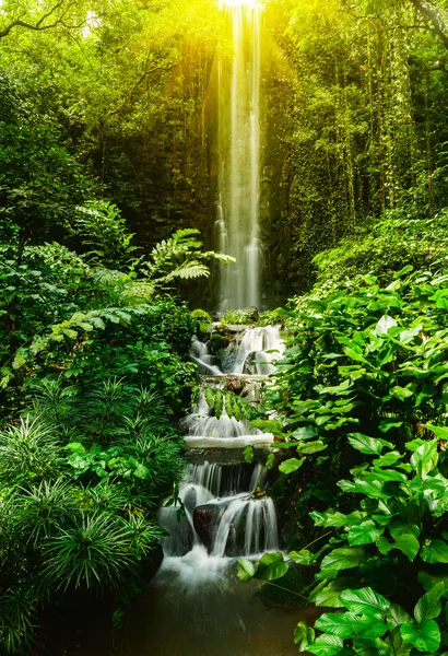 Tropical waterfall