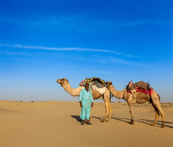 Cameleer (camel driver) chameaux en Rajasthan, Inde — Photo