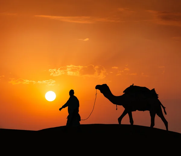Cameleer (骆驼) 牵着骆驼在沙漠的沙丘上。拉杰 — 图库照片