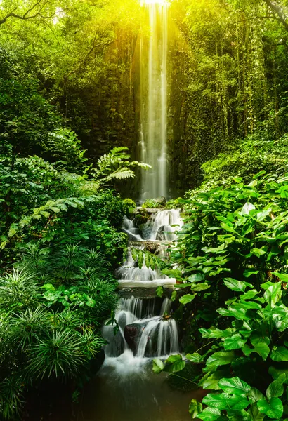 Tropical waterfall — Stock Image Tropical waterfall Royalty Free Stock Photos