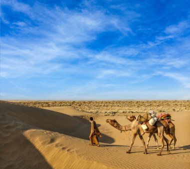 thar çöl dunes içinde deve ile cameleer