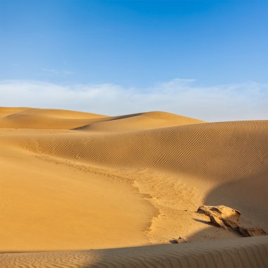 Hindistan thar çöl dunes
