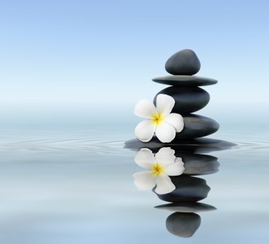 frangipani taşlarla Zen