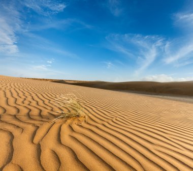 Dunes thar Çölü, İstanbul, Türkiye