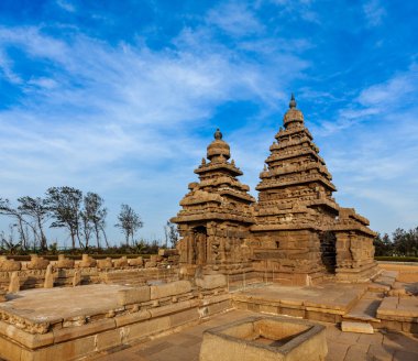 Tamil nadu Simgesel Yapı