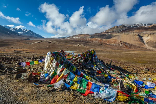 Bandiere di preghiera buddista in himalaya — Foto Stock