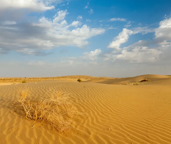 Dünen der thar Wüste, Indien — Stockfoto