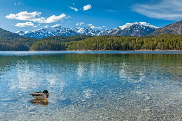 Eibsee lake, Duitsland — Stockfoto