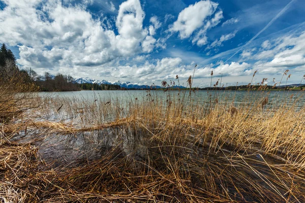 Bavarian Alps countryside landscape — Stock Photo, Image