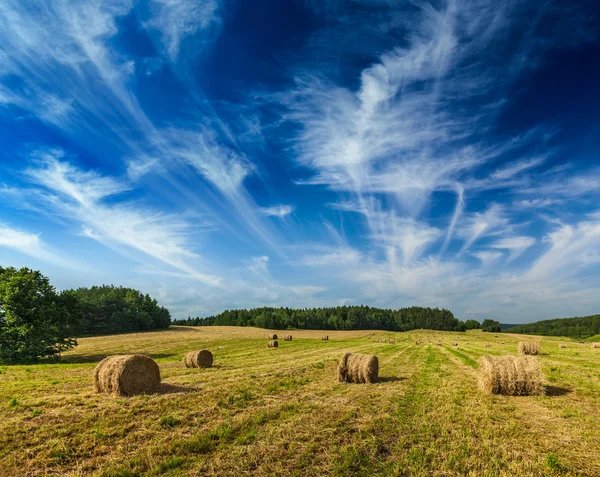 Hay bales on field — Stock Photo, Image