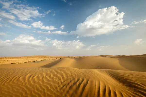 Dunas de thar deserto — Fotografia de Stock