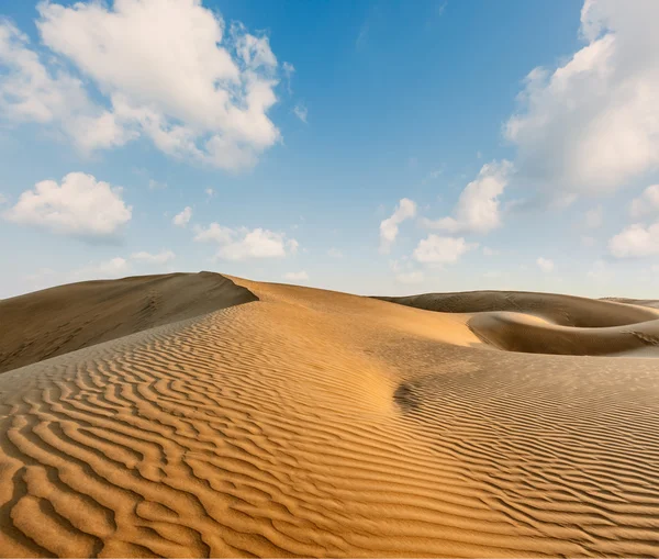 印度塔尔沙漠的沙丘上 — 图库照片