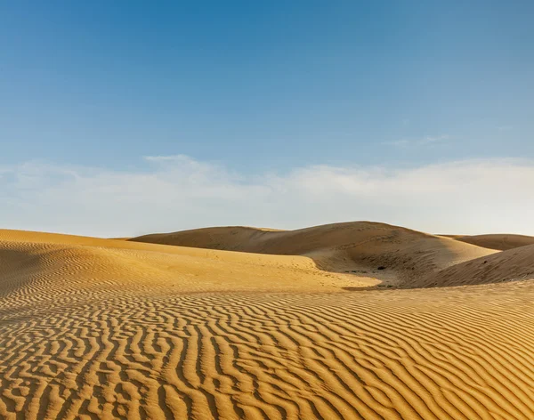 Duny pouště thar — Stock fotografie